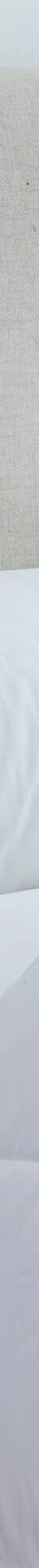 Traversin anti-acariens Proneem® ferme grande longévité (blanc) Traversin anti-acariens Proneem® ferme grande longévité (blanc)